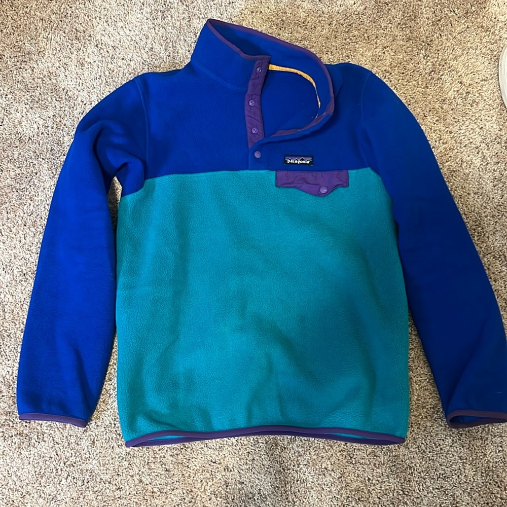 Patagonia Synchilla Fleece Jacket